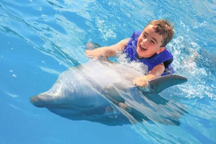 Cabo San Lucas: Dolphin Swim Class With Marine Specialist - Activity Details