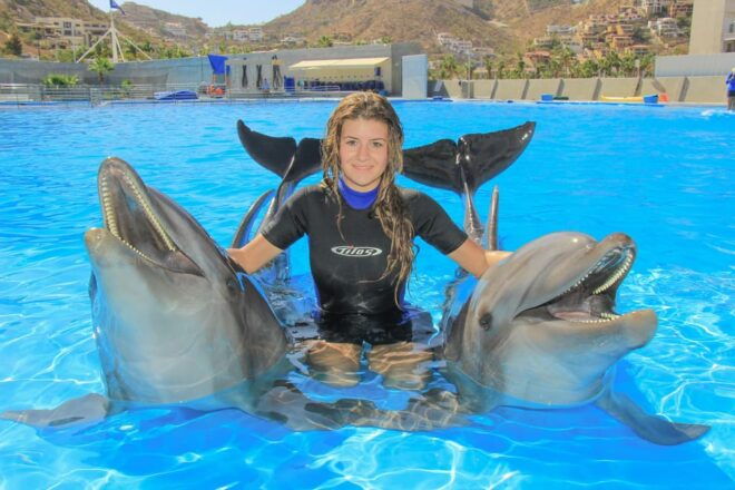 Cabo San Lucas: Dolphin Trainer For a Day Experience - Dolphin Encounter Activities