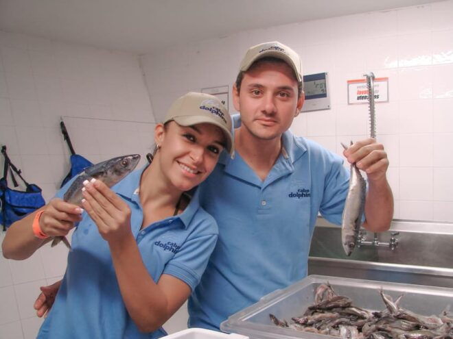 Cabo San Lucas: Dolphin Trainer For a Day Experience - Included Amenities and Extras