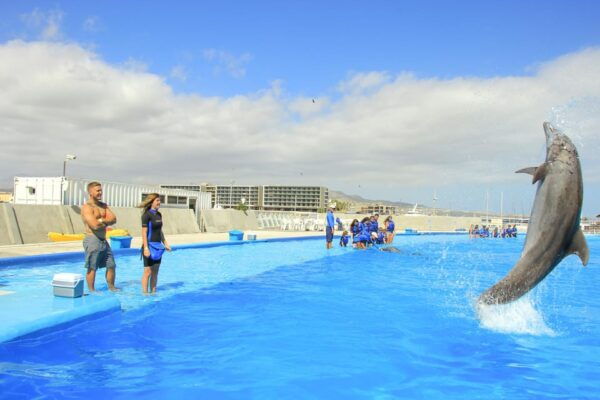 Cabo San Lucas: Dolphin Trainer For a Day Experience - Meeting Point and Transportation