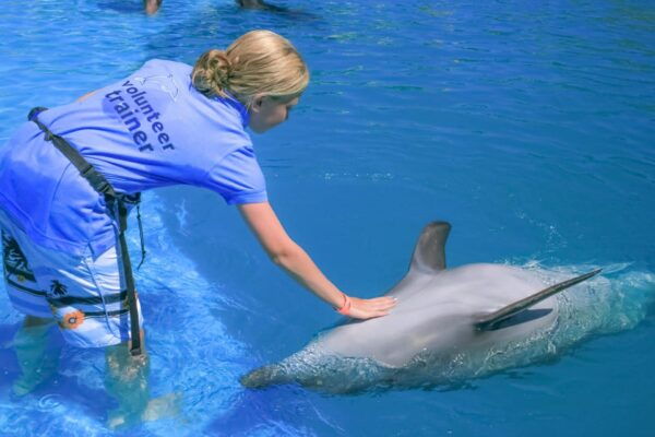 Cabo San Lucas: Dolphin Trainer For a Day Experience - Age and Booking Restrictions