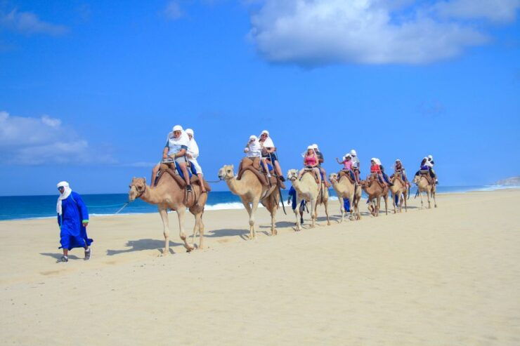 Cabo San Lucas: Half-day Guided Camel Safari Tour - Tour Duration and Guide Availability
