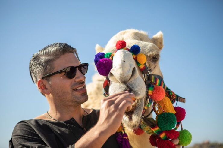 Cabo San Lucas: Half-day Guided Camel Safari Tour - Experience Highlights