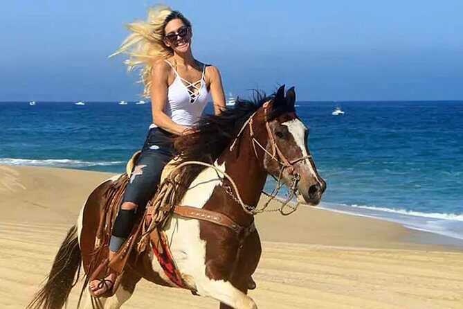 Cabo San Lucas Horseback Ride on Beach and Desert - Good To Know