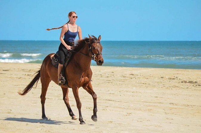Cabo San Lucas Horseback Ride on Beach and Desert - Why This Experience Is Worth Considering