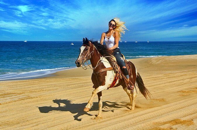 Cabo San Lucas Horseback Ride on Beach and Desert - Final Thoughts