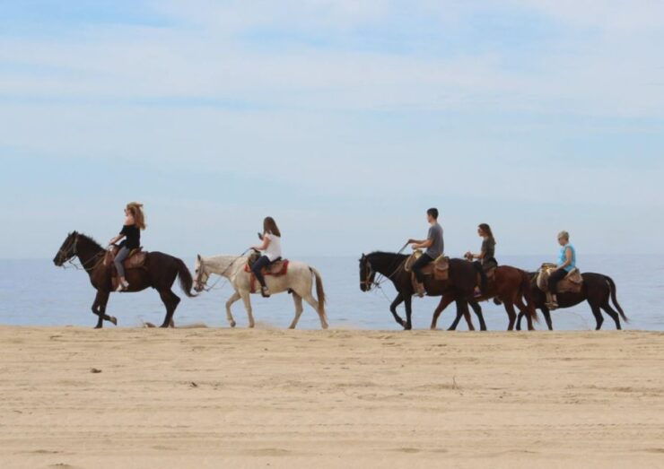 Cabo San Lucas: Horseback Riding Adventure - Experience Description