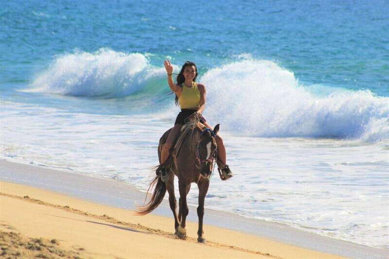 Cabo San Lucas: Horseback Riding Corredor Turistico - An Authentic Beach Horseback Ride in Los Cabos