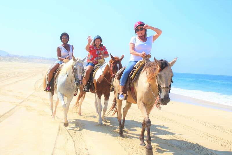 Cabo San Lucas: Horseback Riding Corredor Turistico - The Value of This Experience