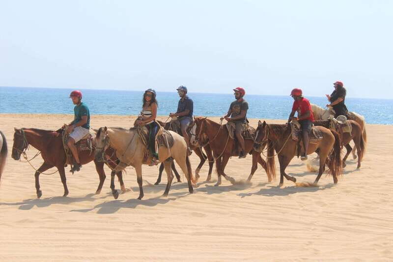 Cabo San Lucas: Horseback Riding Corredor Turistico - Who Will Enjoy This Tour?