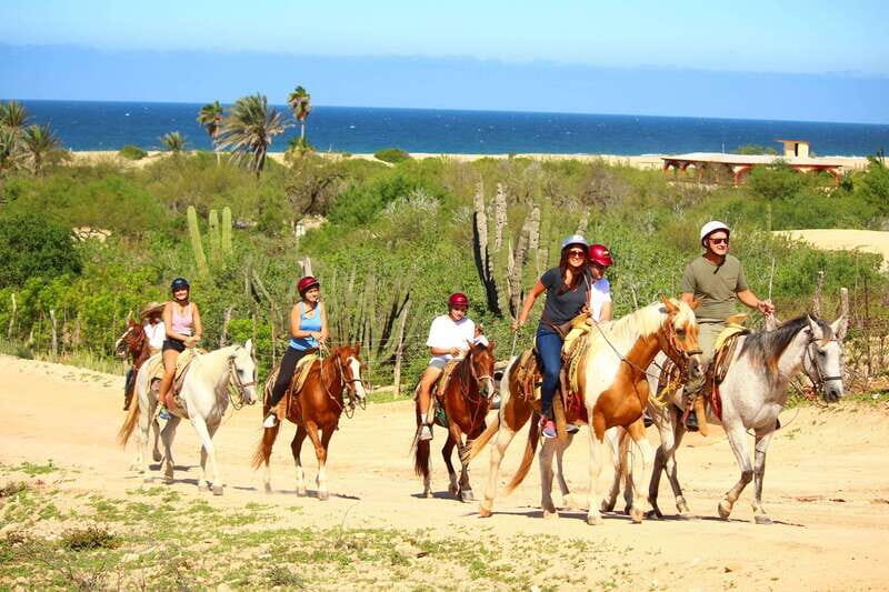 Cabo San Lucas: Horseback Riding in Migriño with Transfers - Experience the Beauty of Baja California Sur with Horseback Riding in Migriño