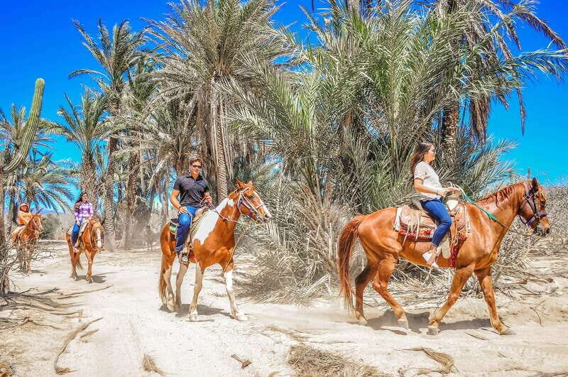 Cabo San Lucas: Horseback Riding in Migriño with Transfers - Final Thoughts: Is This the Right Choice?