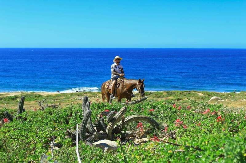 Cabo San Lucas: Horseback Riding in Migriño with Transfers - FAQs