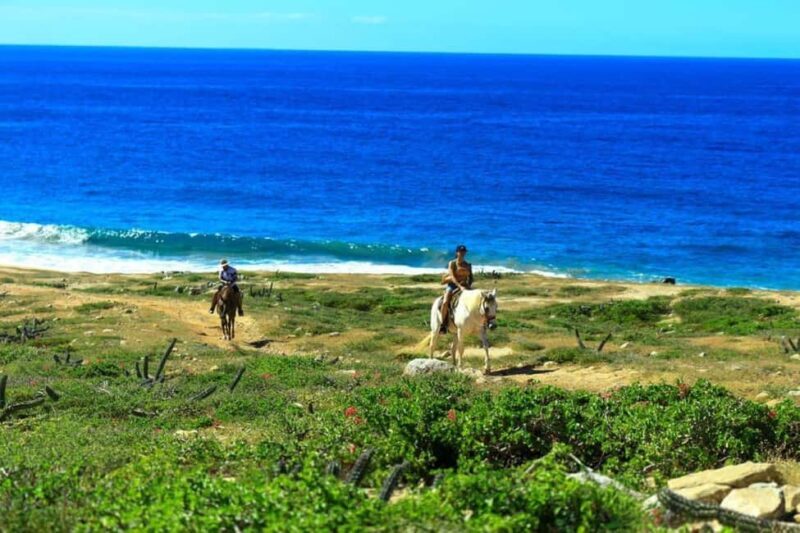 Cabo San Lucas: Horseback Riding on the Beach Experience - FAQ