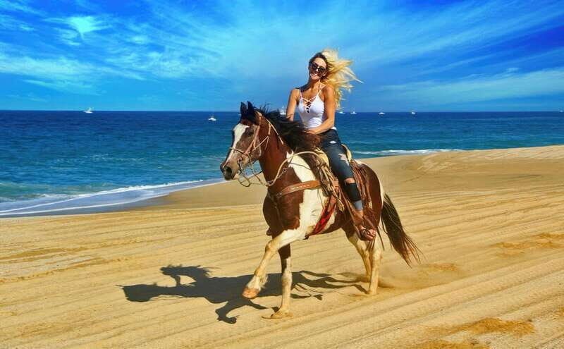 Cabo San Lucas: Horseback Riding On The Beach - Scenic Trails on Land and Sea