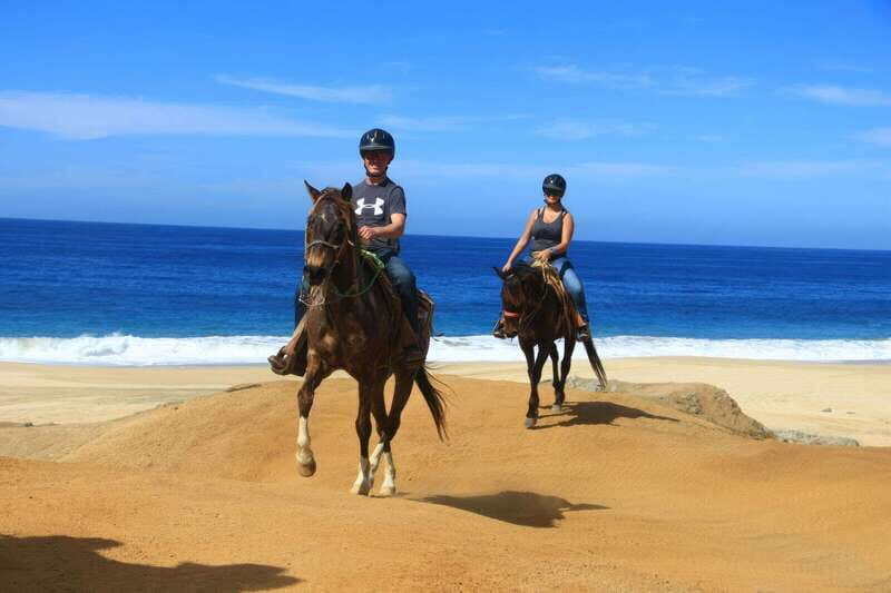 Cabo San Lucas: Horseback Riding On The Beach - For All Riding Levels