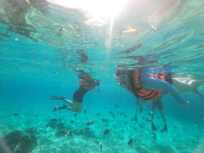 Cabo San Lucas: Kayaking Adventure Tour - Snorkel at Pelican Rock