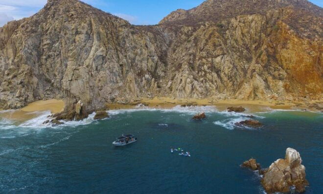 Cabo San Lucas: Local Dives (CSL Marine Park) and Corridor. - Marine Life Highlights