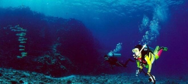 Cabo San Lucas: Marine Reserve Dive - Inclusions