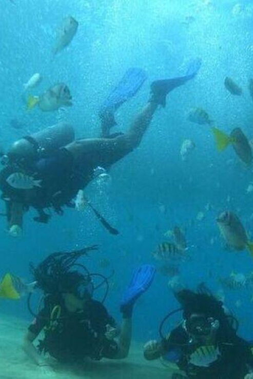 Cabo San Lucas: Marine Reserve Dive - Good To Know