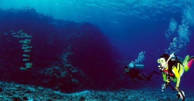 Cabo San Lucas: Marine Reserve Dive - Exploring the Underwater World