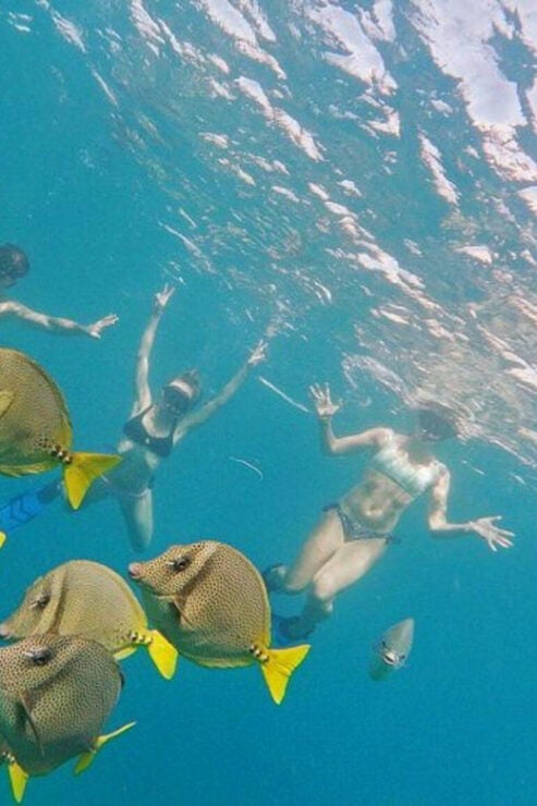 Cabo San Lucas: Marine Reserve Snorkeling Experience - Good To Know