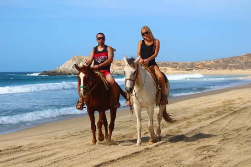 Cabo San Lucas: Migriño Horseback Riding Adventure - Good To Know