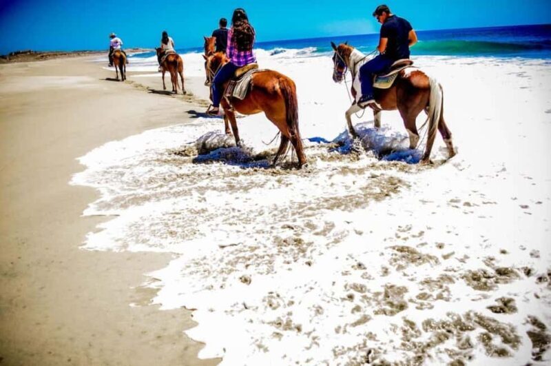 Cabo San Lucas: Migriño Horseback Riding and Tequila Tour - Authentic Review Insights
