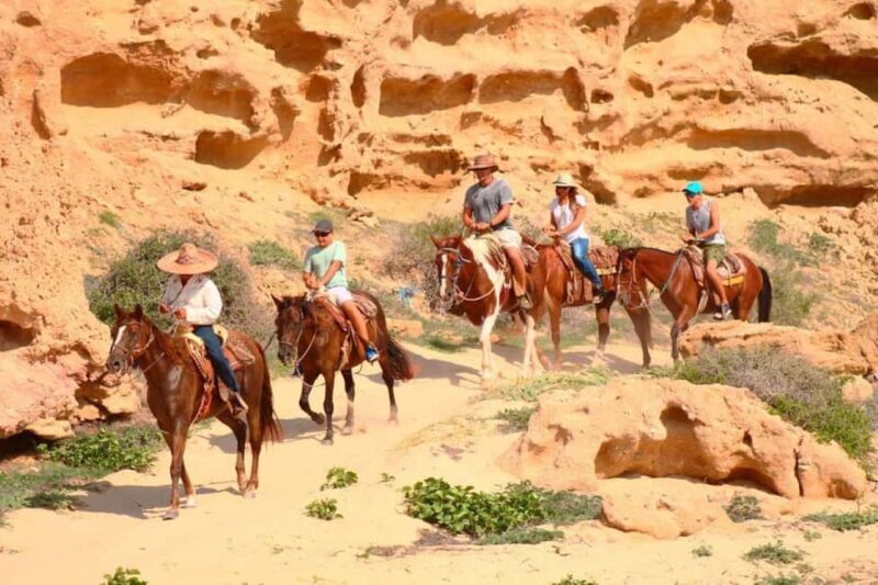 Cabo San Lucas: Migriño Horseback Riding and Tequila Tour - The Sum Up