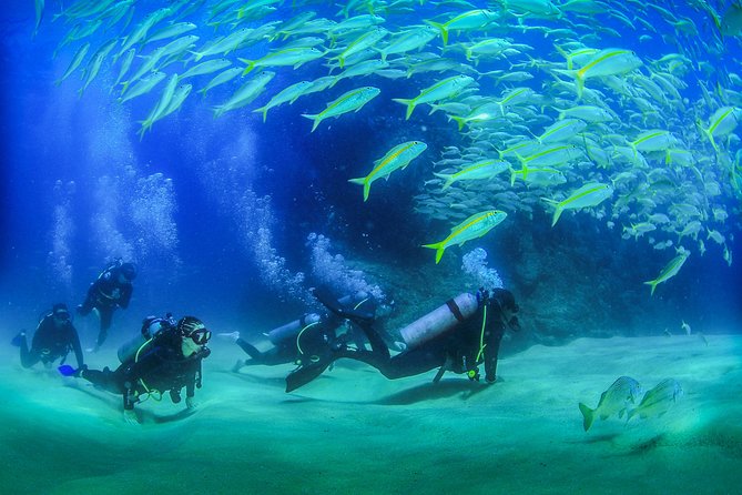 Cabo San Lucas PADI Open Water Certified Diver Course - Pricing