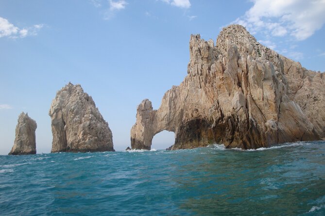 Cabo San Lucas Pirate Snorkel Tour - Abundant Marine Life in the Sea of Cortez