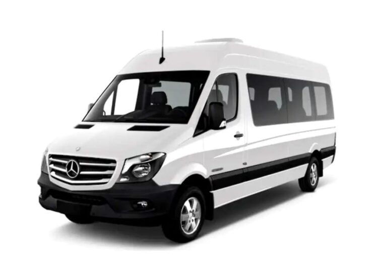 Cabo San Lucas: Premium Airport Transfer - Experience and Highlights