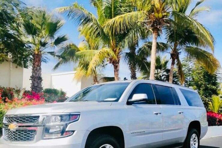 Cabo San Lucas: Private Airport Transfer, Only Downtown - Good To Know