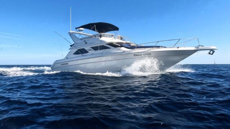 Cabo San Lucas: Private Boat Tour With Paddle Boarding - Booking Details