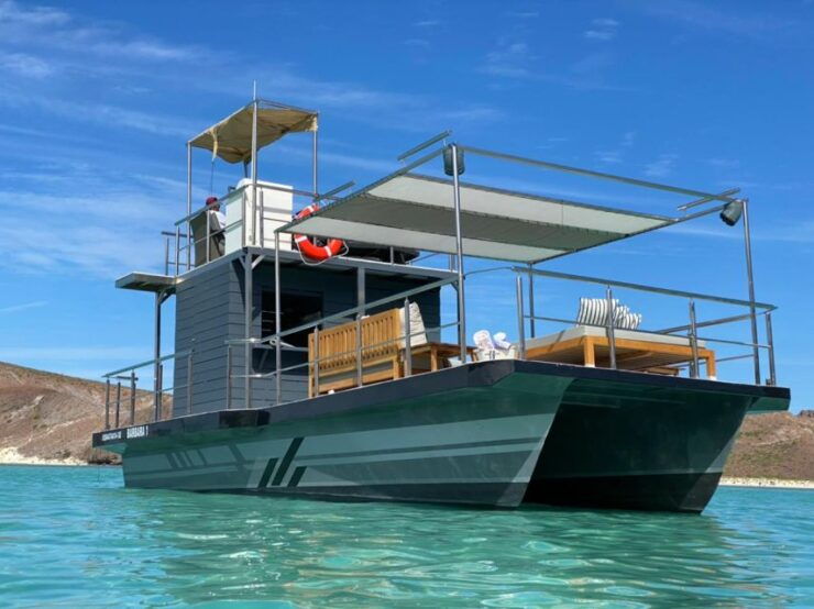 Cabo San Lucas: Private Catamaran Tour Sup and Floating Expe - Experience Highlights