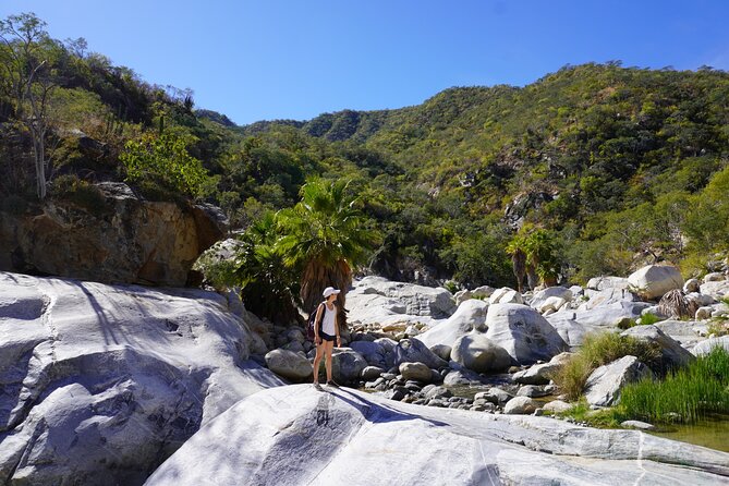 Cabo San Lucas Private Hidden Waterfall Hike - Praise for the Guide and Enjoyable Experiences