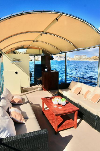 Cabo San Lucas Private Mini Catamaran Tour - Activity Details