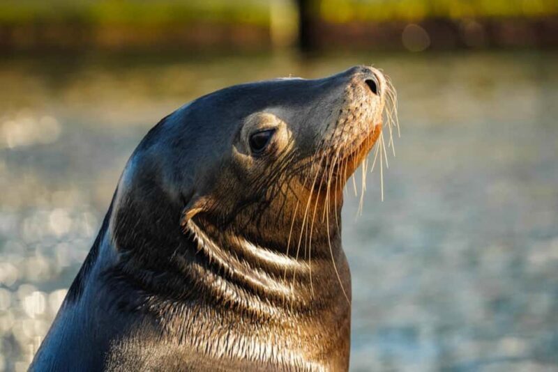 Cabo San Lucas: Private Sunset Cruise - What Makes This Experience Stand Out?