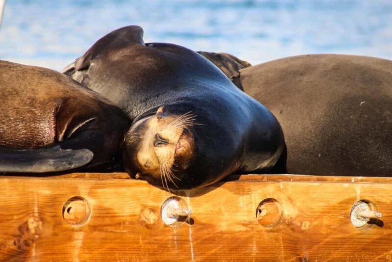 Cabo San Lucas: Private Sunset Cruise - Final Thoughts