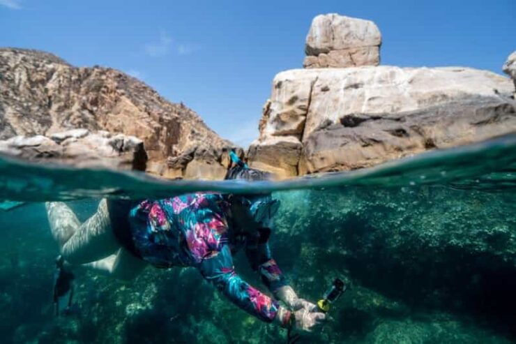 Cabo San Lucas: Reef Snorkel Experience - Itinerary and Highlights