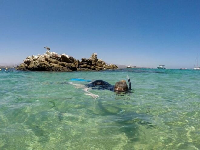 Cabo San Lucas: Reef Snorkel Experience - Snorkeling Experience