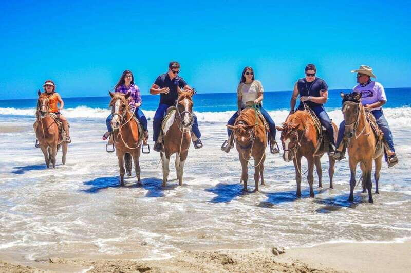 Cabo San Lucas: Scenic Horseback Ride Along the Corridor - Comparing with Similar Experiences