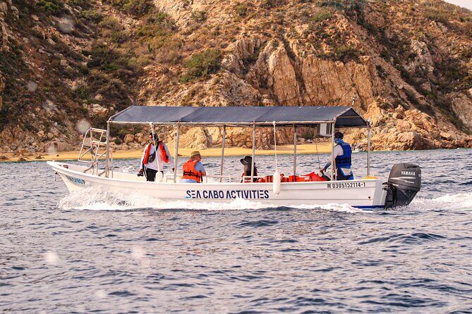 Cabo San Lucas Shared Glass Bottom Boat Experience - Good To Know