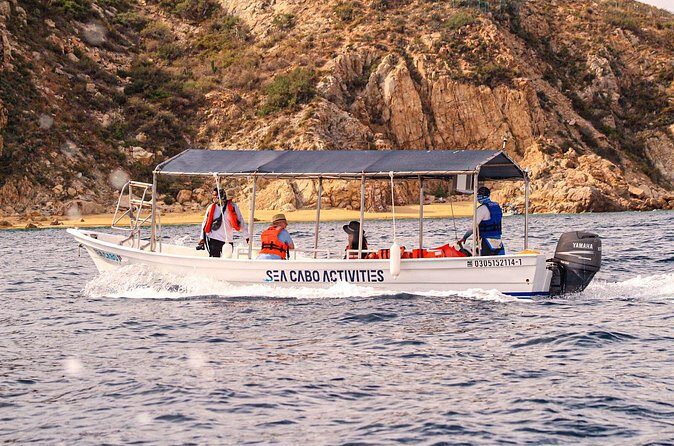 Cabo San Lucas Shared Glass Bottom Boat Experience - The Practical Details