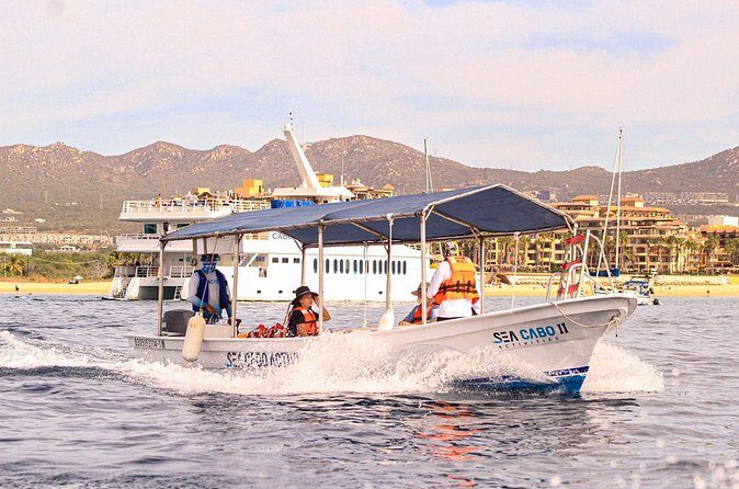 Cabo San Lucas Shared Glass Bottom Boat Experience - Final Thoughts: Is It Worth It?