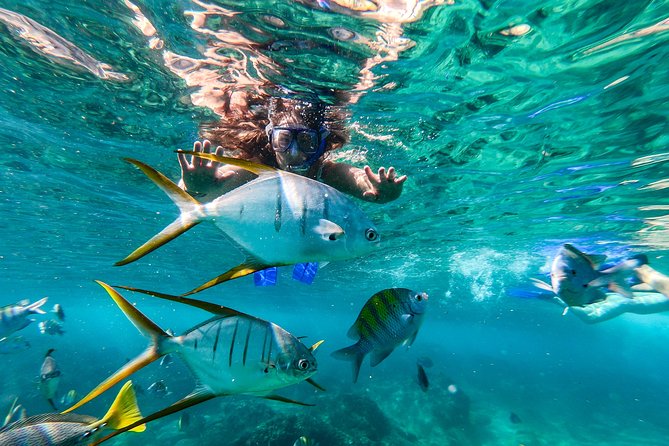 Cabo San Lucas Shopping, Tequila Tasting, and Snorkel Tour - Tour Details
