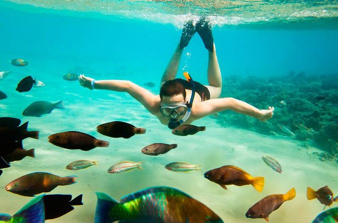 Cabo San Lucas Shopping, Tequila Tasting, and Snorkel Tour - Reviews