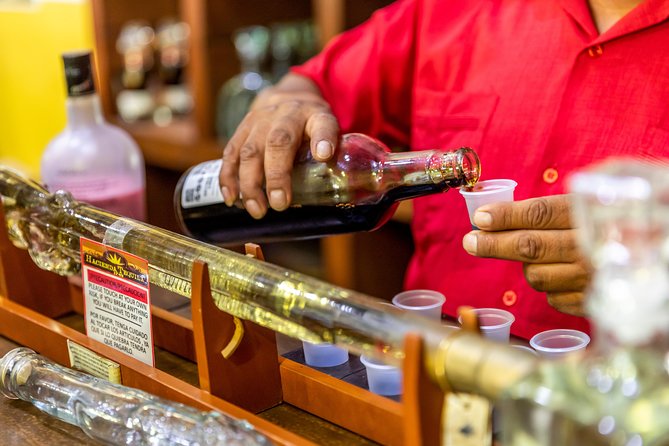 Cabo San Lucas Shopping, Tequila Tasting, and Snorkel Tour - Common Questions