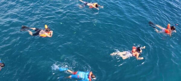 Cabo San Lucas: Snorkel Fun Cruise & Breakfast - Booking Details