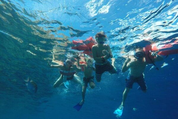 Cabo San Lucas: Snorkeling and Sailing Cruise With Lunch - Frequently Asked Questions